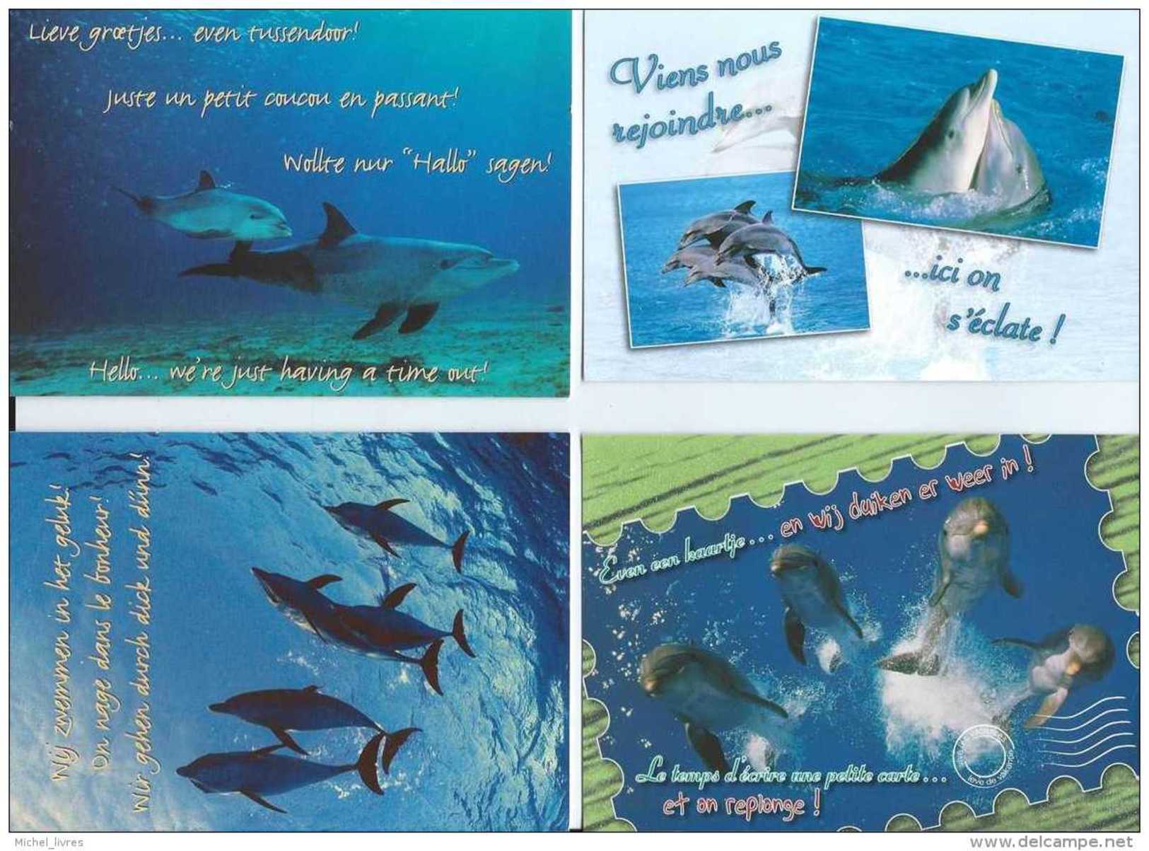 Lot De 12 Cartes Couleur Locale Collection Pictogramme - Animaux - Dauphins - Pas Circulé - Etat Neuf - Dauphins