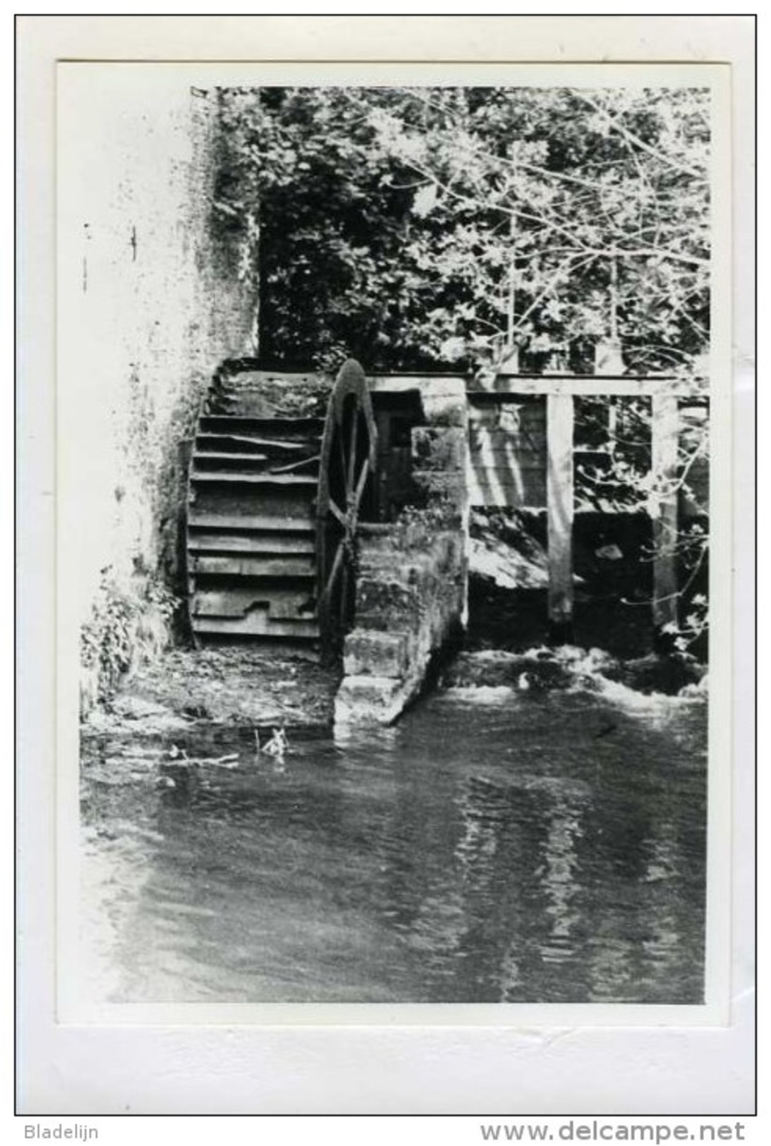 THUILLIES - THUIN (Hainaut) - Moulin/molen - Photo Véritable (1983) Du Moulin De Thuillies (Moulin De La Biesmelle) - Plaatsen