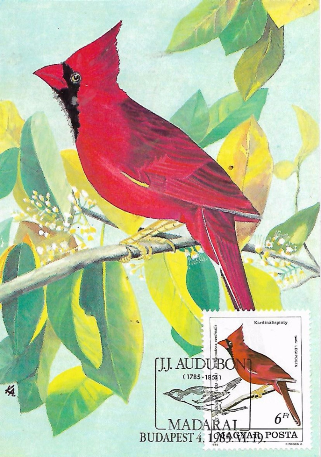 HUNGAR  BUDAPEST  Les Oiseaux D'Audubon   Le Cardinal Rouge Richmondena Cardinalis  19/06/85 - Spatzen