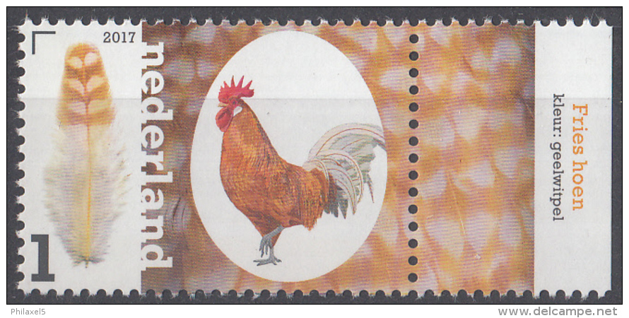 Nederland - Hollandse Kippenrassen - Fries Hoen - MNH - Tab Rechts - NVPH 3495 - Ongebruikt