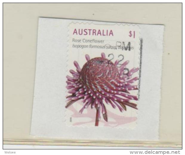 Australien 041/   Fragment Rose Coneflower (Blume) - Used Stamps