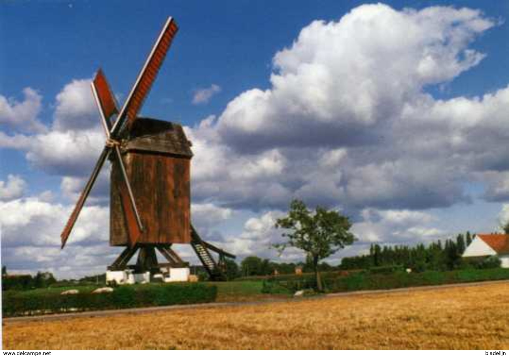 SINT-MARTENS-LATEM (O.Vl.) - Molen/moulin - Houten Standaardmolen (Koutermolen) Na Verplaatsing / Restauratie (1984) - Sint-Martens-Latem