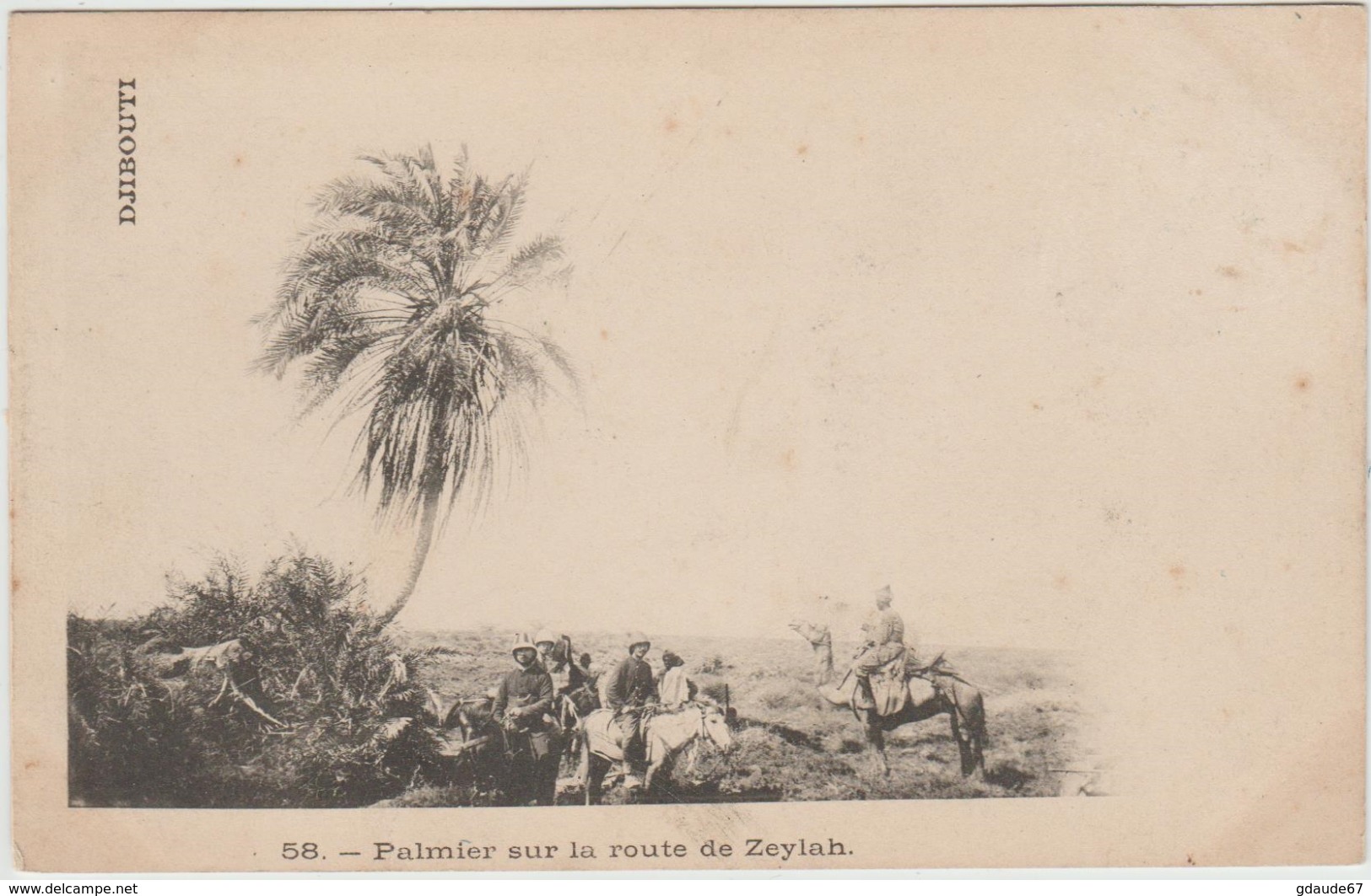 DJIBOUTI - PALMIER SUR LA ROUTE DE ZEYLAH - Djibouti