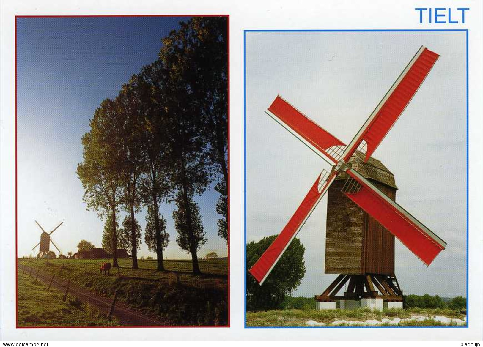 TIELT (W.Vl.) - Molen/moulin - De Poelbergmolen Na De Restauratie. Kleurenkaart Met 2 Zichten - Tielt