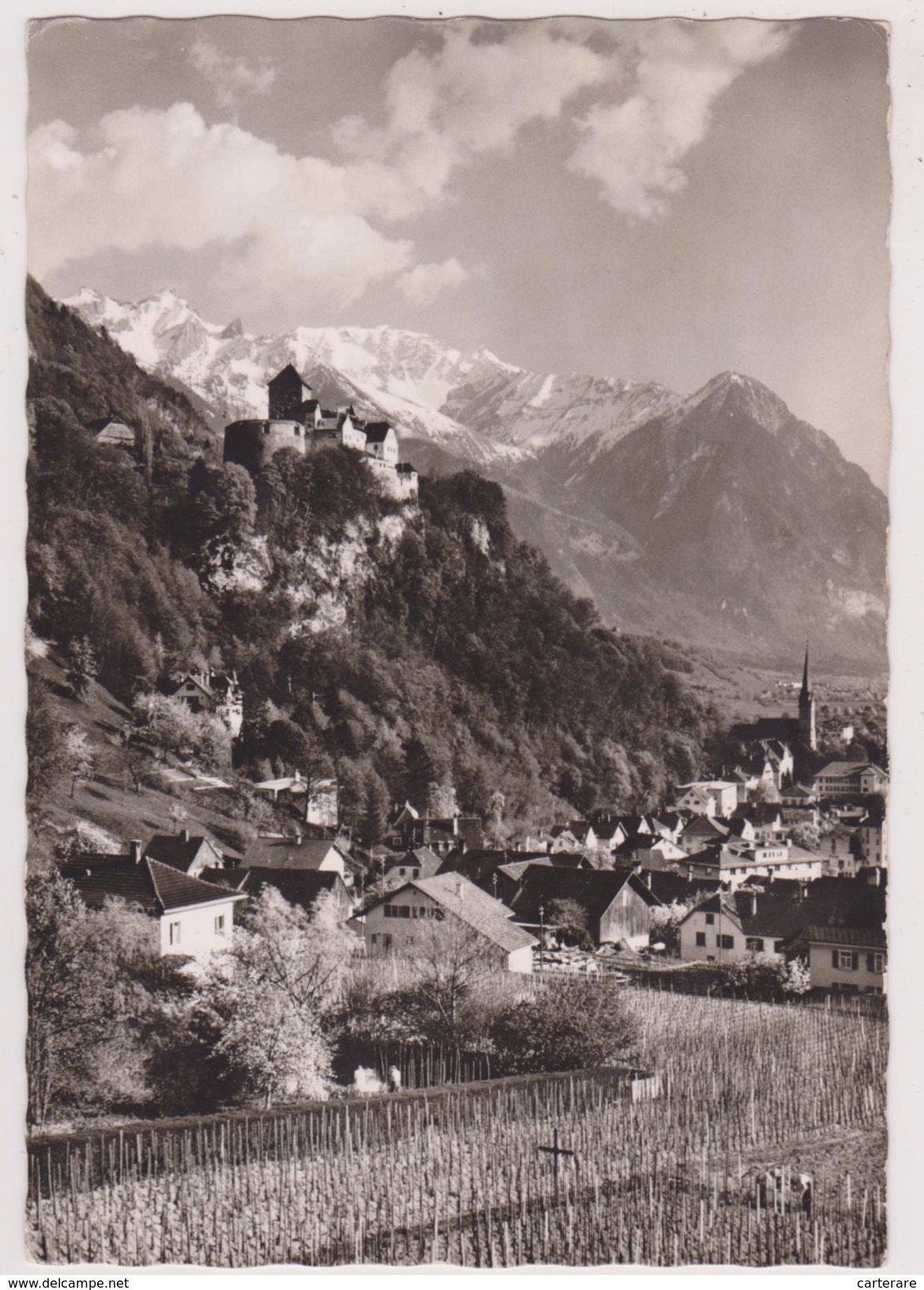 LIECHTENSTEIN,OBERLAND,VADUZ,terre Agricole - Liechtenstein