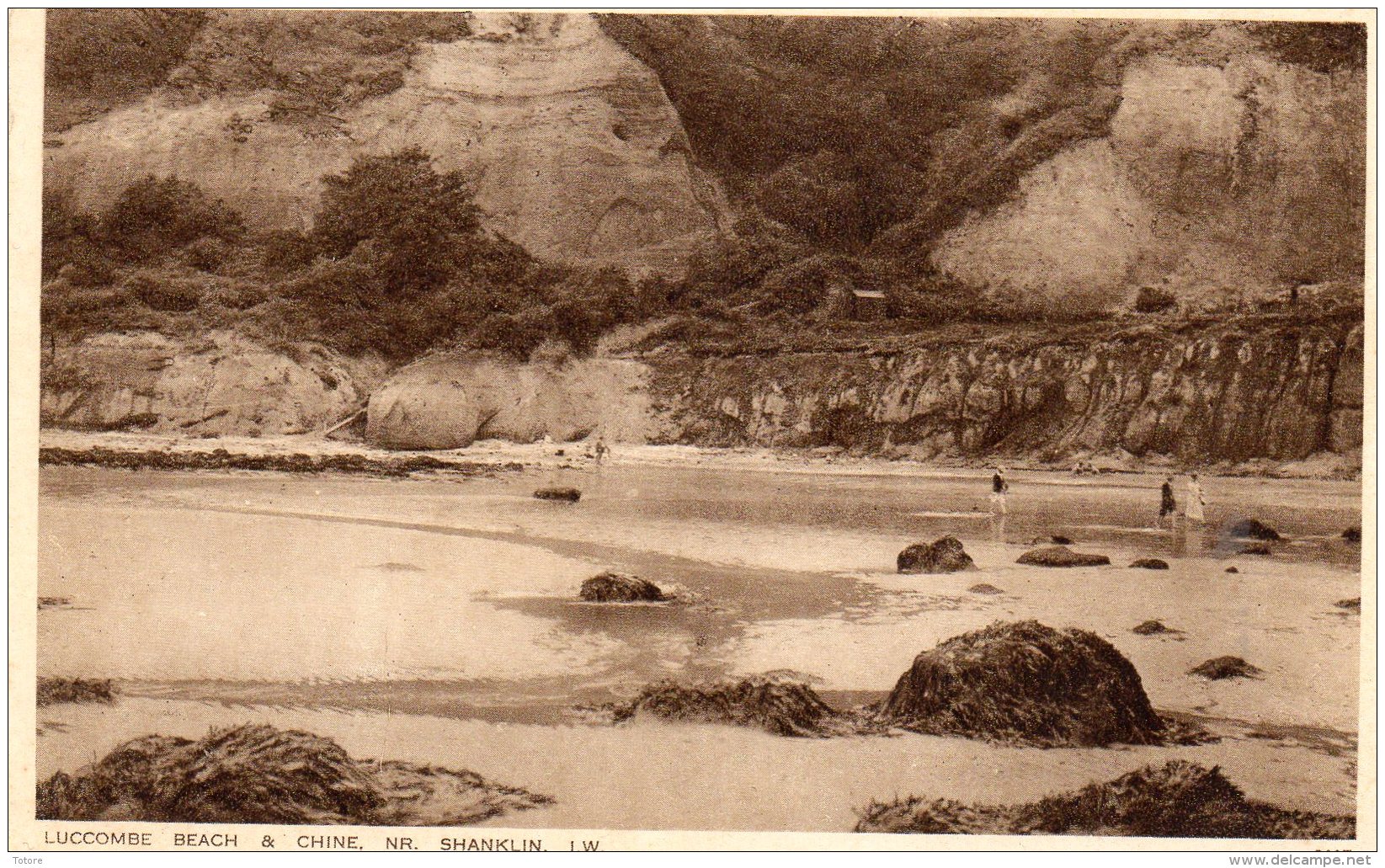 LUCCOMBE  BEACH   &amp;  CHINE  NR SHANKLIN  T.W. - Chine