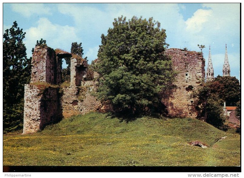 44 - Machecoul : Le Château De Barbe Bleue - Machecoul