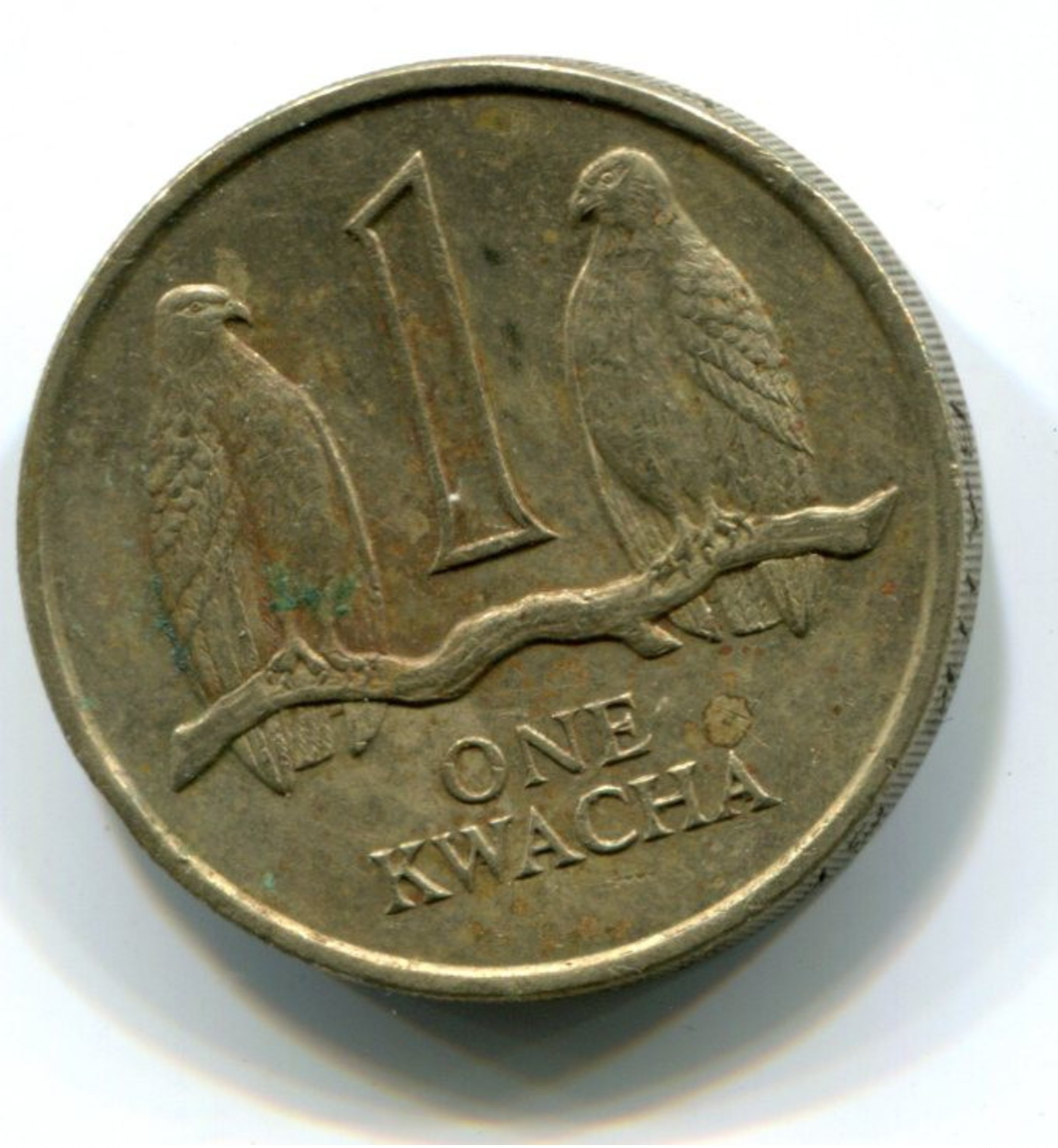 1989 Zambia One Kwacha Coin - Zambia