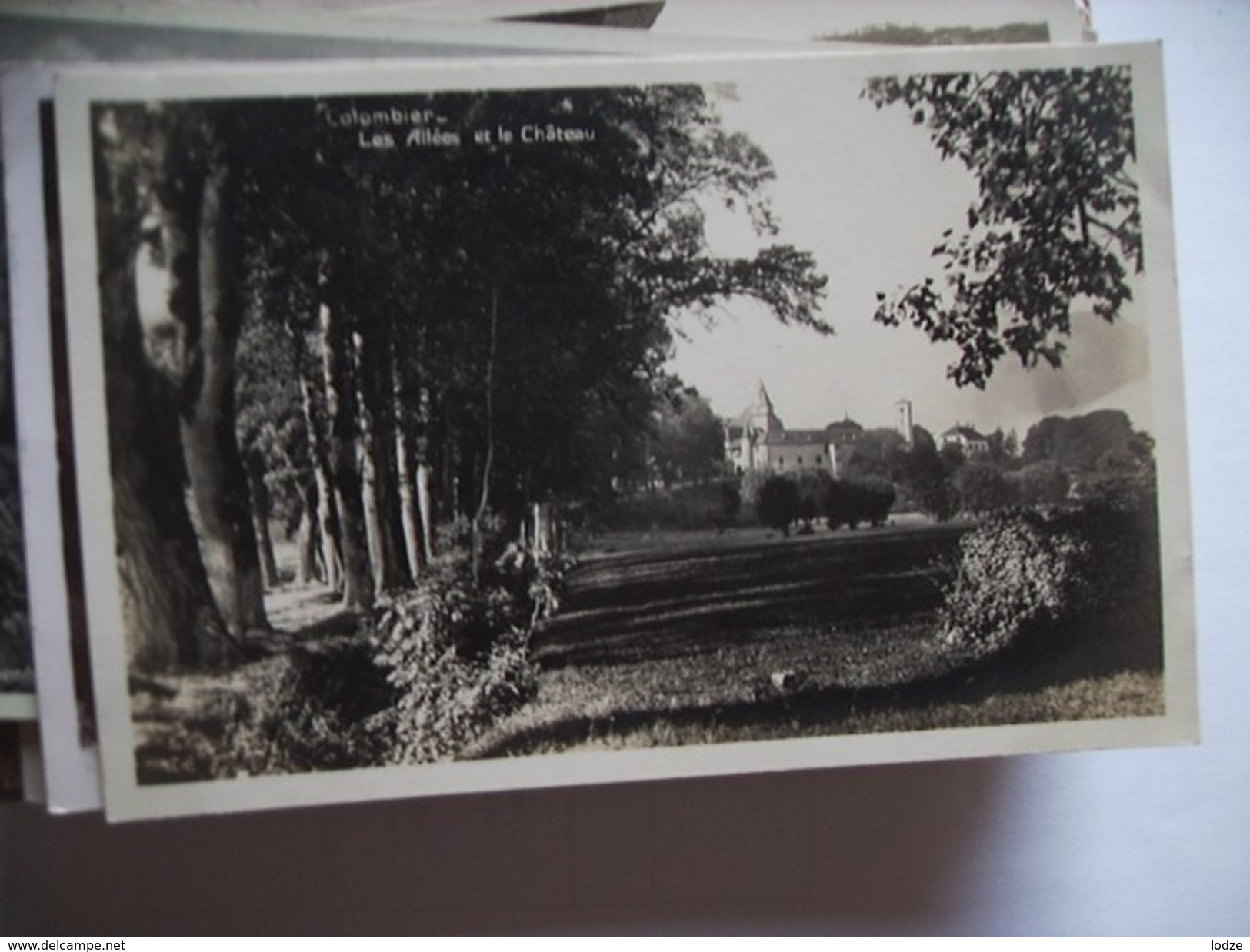 Frankrijk France Frankreich Allier Colombier Les Allées Et Le Chateau - Autres & Non Classés