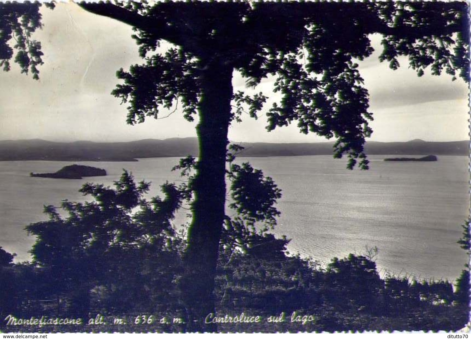 Montefiascone - Controluce Sul Lago - Formato Grande Viaggiata Mancante Di Affrancatura - E - Altri & Non Classificati