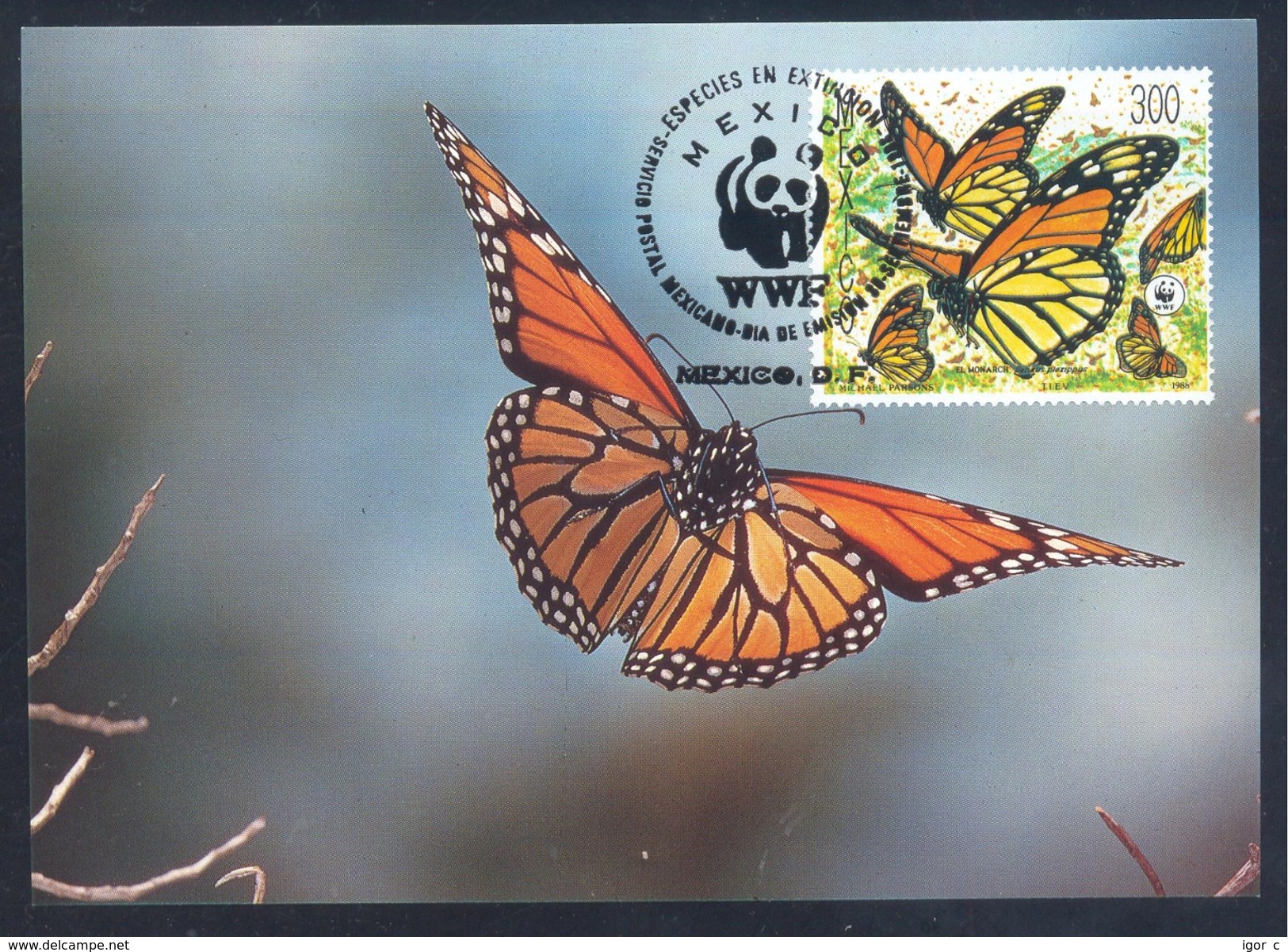 Mexico 1988 Maximum Card: Fauna WWF Protected Animals: Monarch Butterfly (Danaus Plexippus); Papillon Schmetterling - Papillons