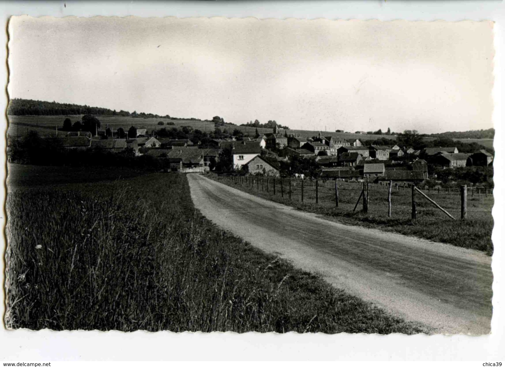 C 19011  -  Torgny (Belgique)   -   L'Entrée Du Village  -  Photo Véritable - Rouvroy