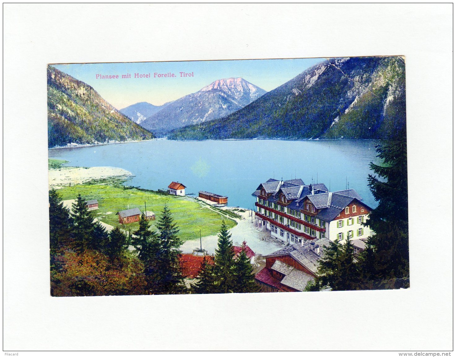 66611   Austria,  Plansee Mit  Hotel Forelle,  Tirol,  VGSB - Reutte