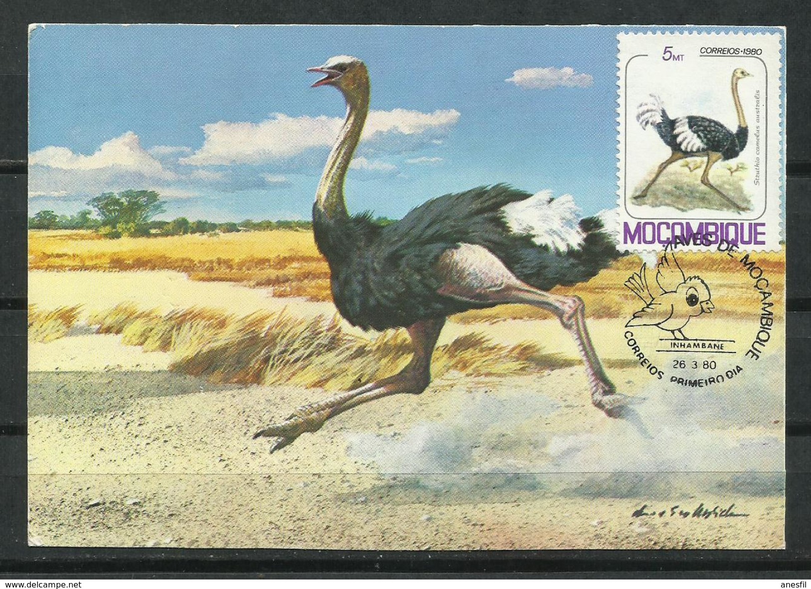 Mozambique_1980_Tarjeta Maxima.  Mamíferos.   "Avestruz" - Mozambico