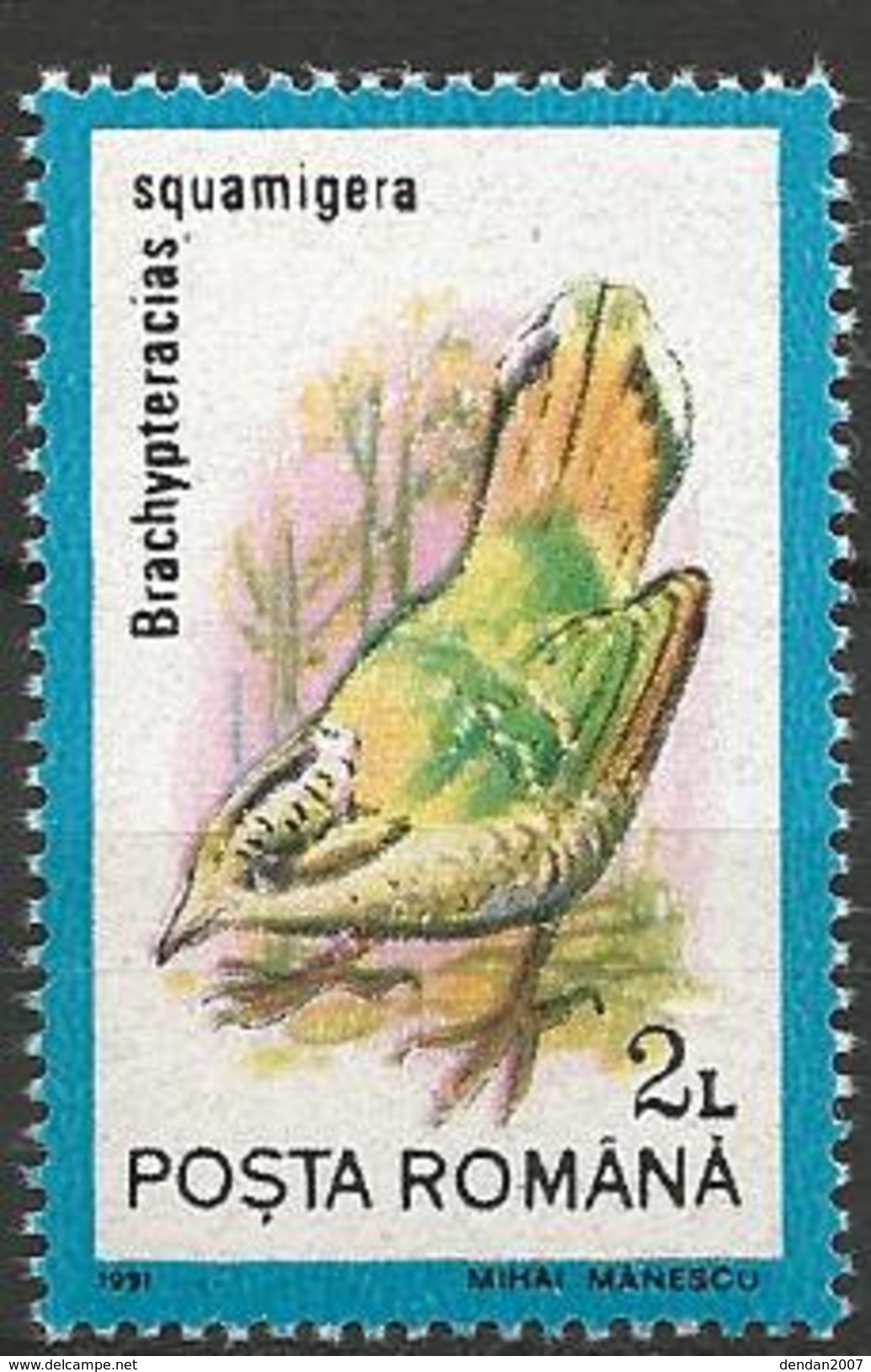 Rumania - MNH - Family GROUND ROLLERS - Scaly Ground-Roller ( Geobiastes Squamiger ) - Altri & Non Classificati