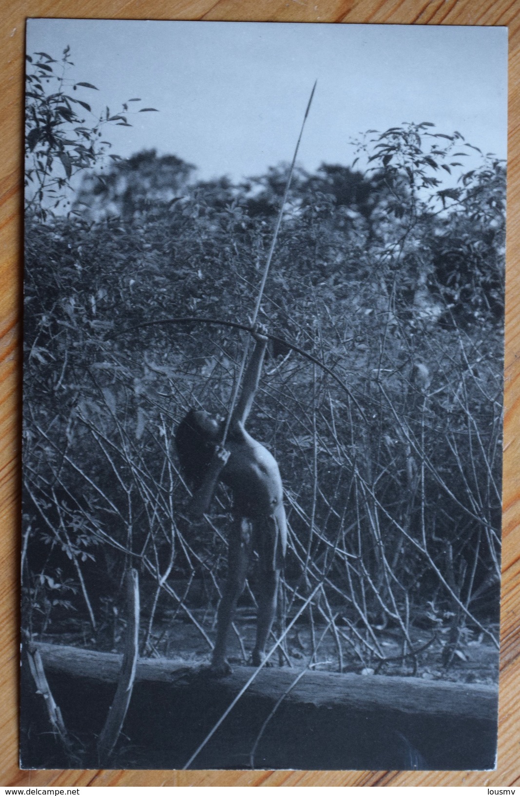 Guyane / Amazonie - Photo D'un Jeune Indien En Pirogue Avec Arc - (n°7337) - Amerika