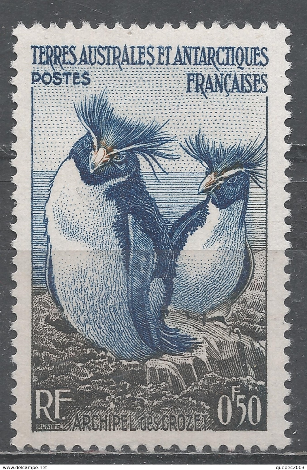 French Southern & Antarctic Territory 1956. Scott #2 (MH) Rockhopper Penguins - Neufs