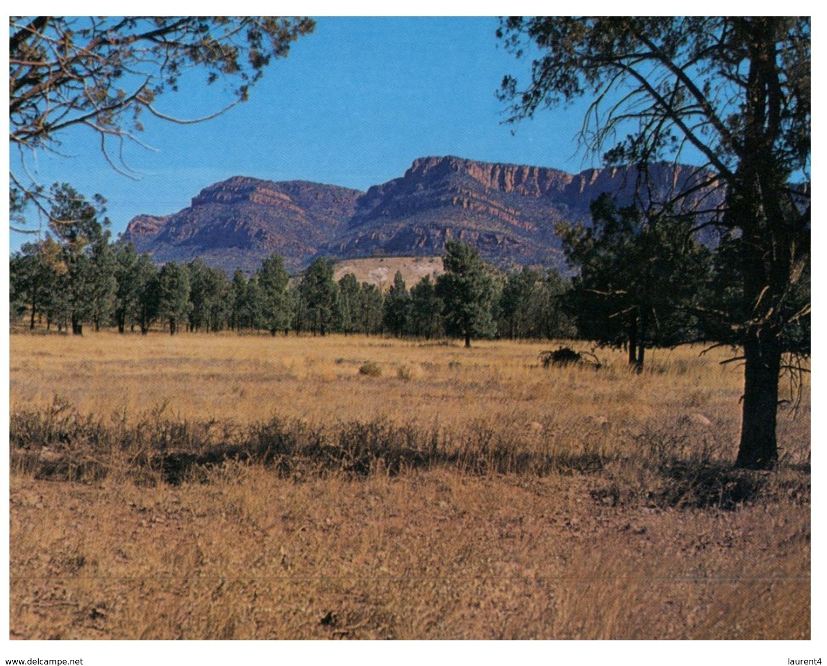 ((505) Australia - SA - Flinders Ranges Pt Bonney - Flinders Ranges