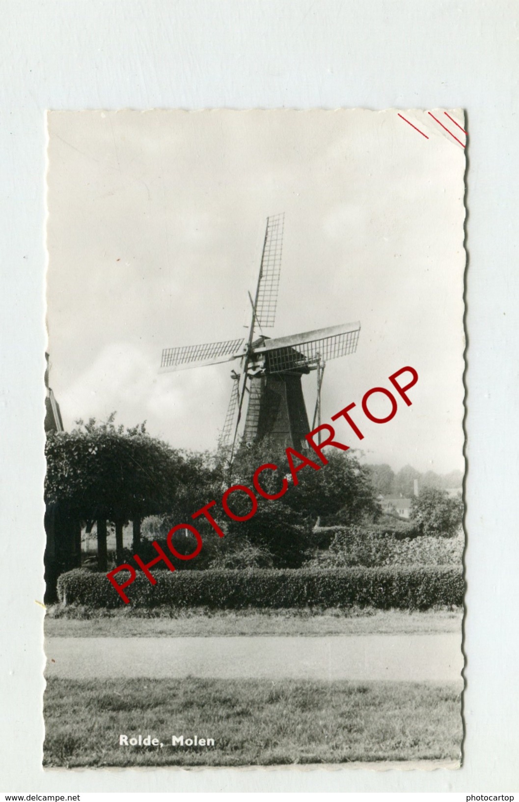 ROLDE-1968-MOLEN-Moulin A Vent-WINDMÜHLE-CARTE PHOTO-Hollande-Niederlande - Rolde