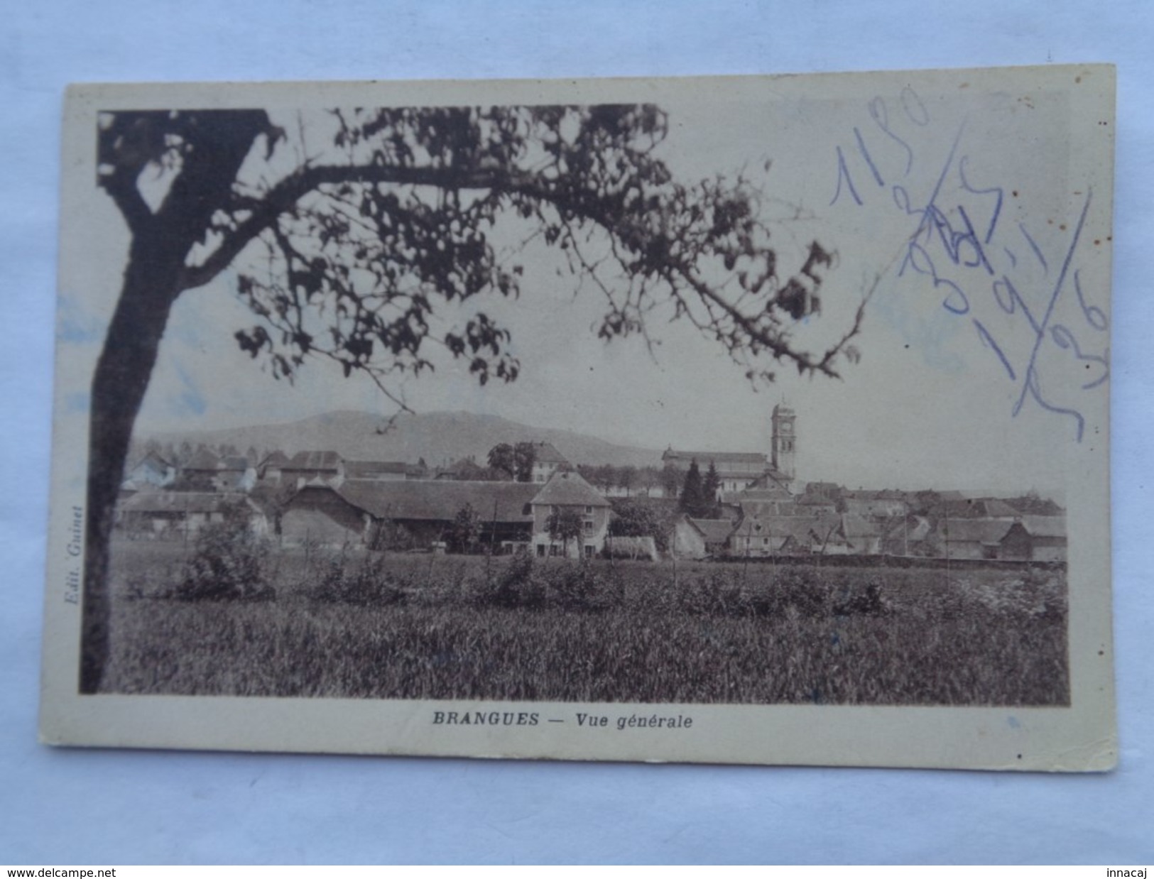 Réf: 80-19-31.             BRANGUES            Vue Générale  ( Teinte Bistre ) - Brangues