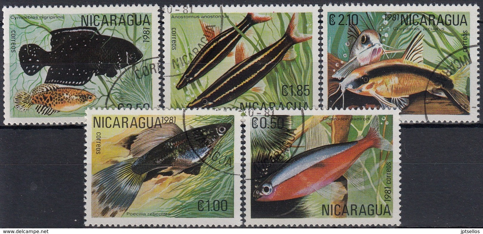 NICARAGUA 1981 PECES USADO - Poissons