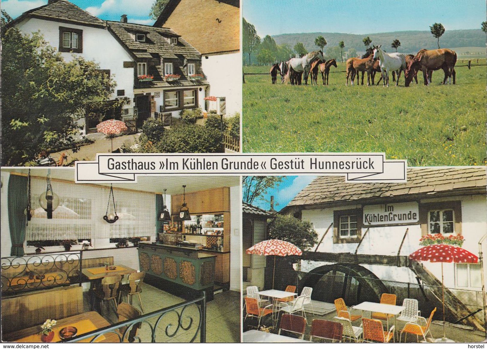 D-37586 Dassel - Solling - Gasthaus " Im Kühlen Grunde" - Gestüt Hunnesrück - Pferde - Northeim