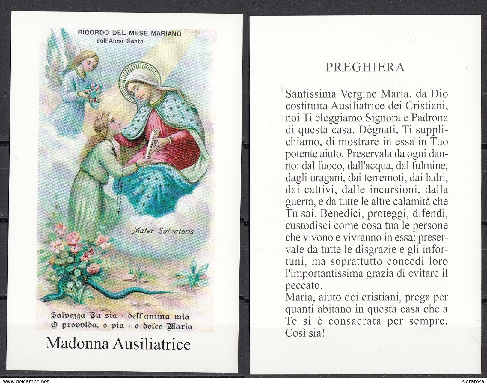 Madonna Ausiliatrice - Devotion Images