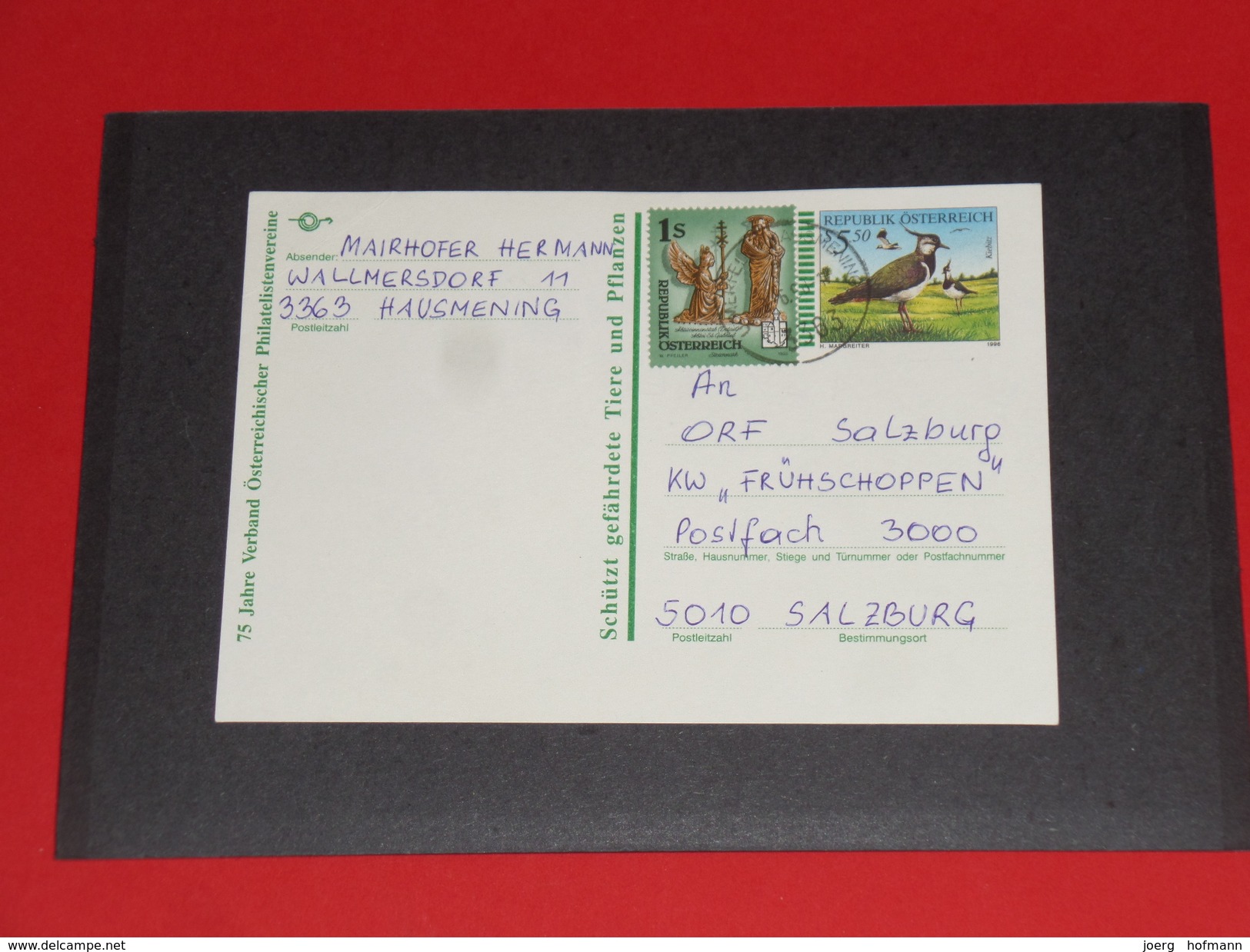 Kiebitz Vogel Bird 1996 Österreich Austria Ganzsache Postal Stationery Vögel Birds 3363 Hausmenning - Other & Unclassified