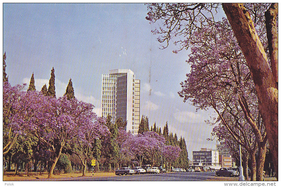 Bf - Cpsm RHODESIA - Jaracandas In Flower In Salisbury - Zimbabwe