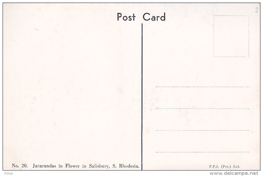 Bf - Cpsm RHODESIA - Jaracandas In Flower In Salisbury - Zimbabwe