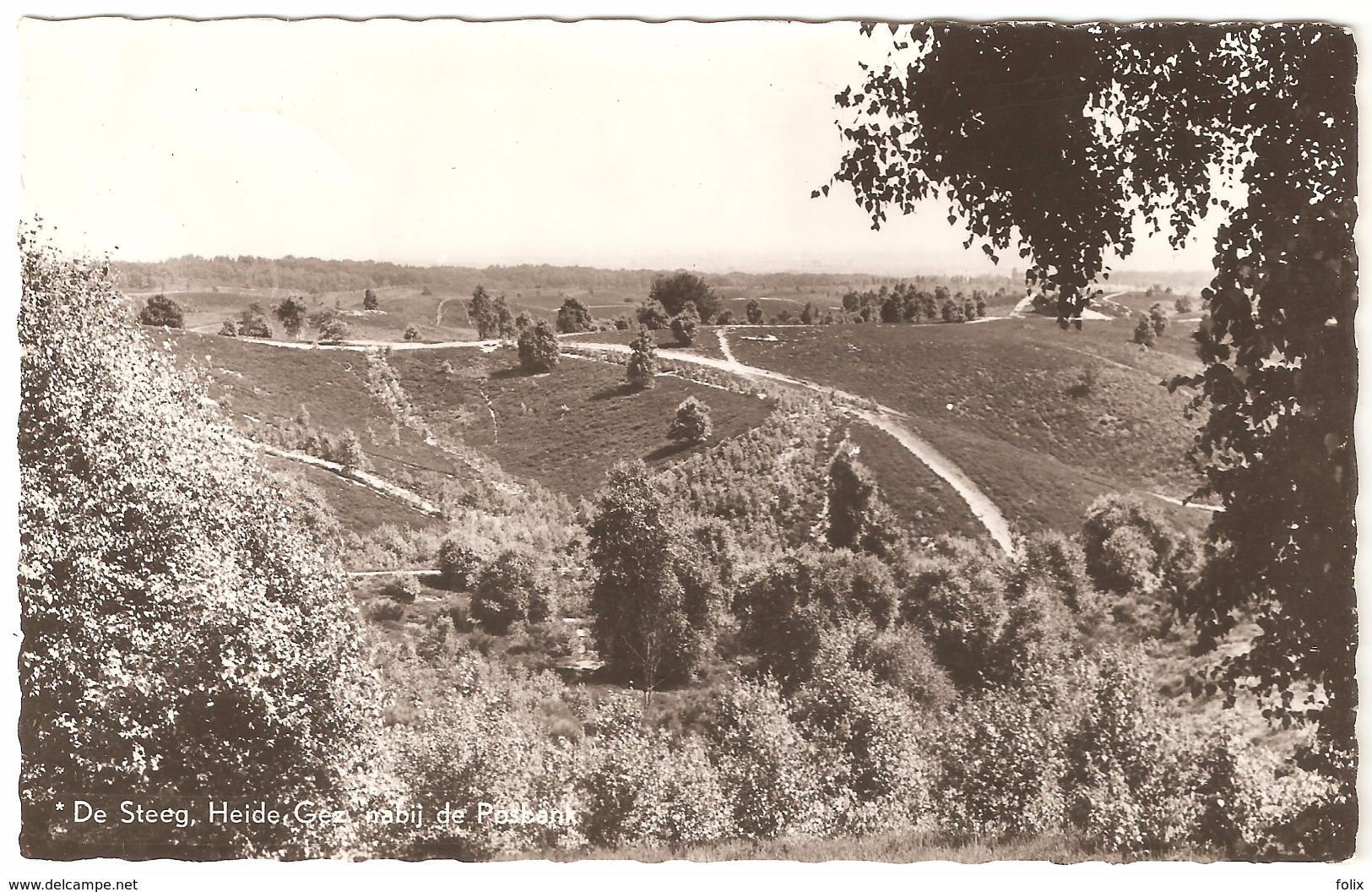 De Steeg - Heide - Gezicht Nabij De Posbank - 1965 - Rheden