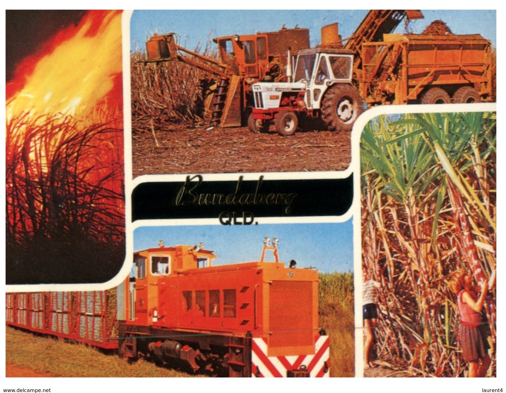 (8000) Australia  - QLD - Bundaberg Sugar Cane Harvest + Train - Sunshine Coast