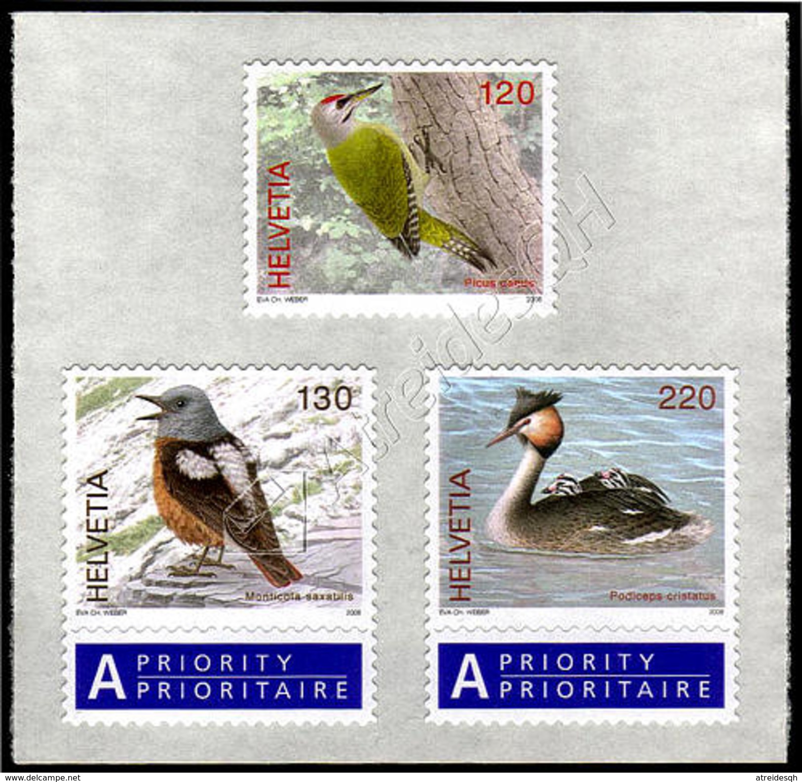 Svizzera / Switzerland 2008: Uccelli / Birds ** - Altri & Non Classificati