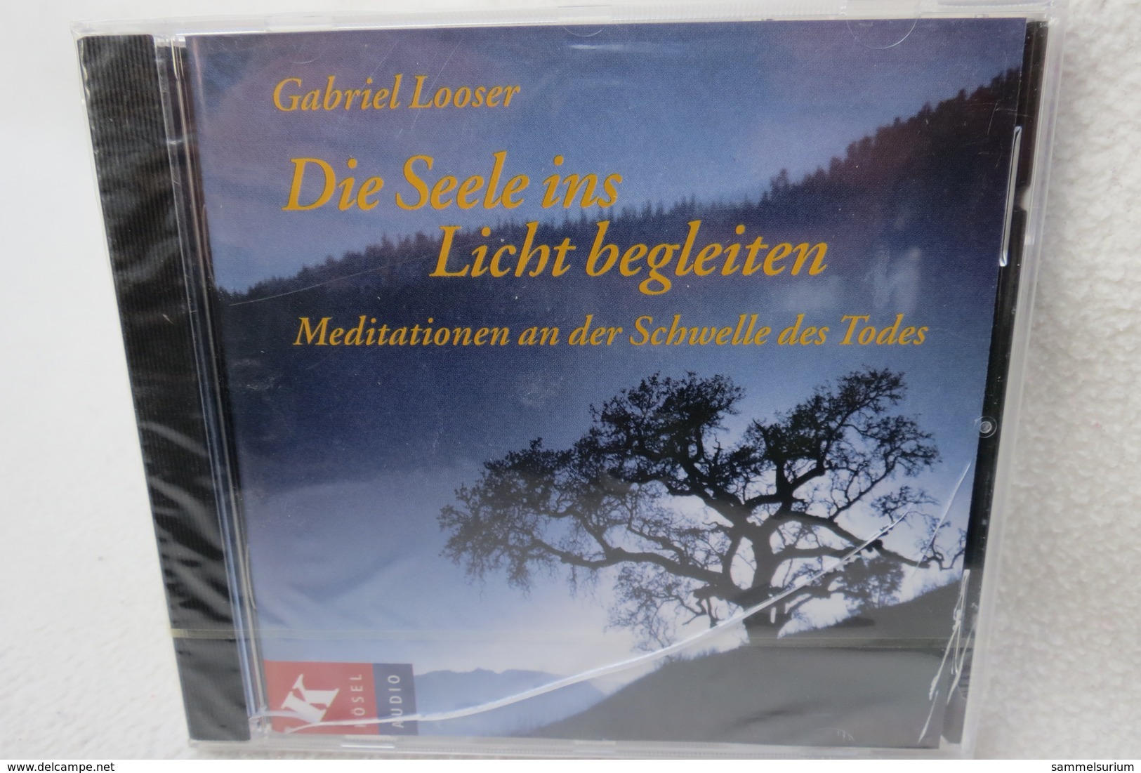 CD "die Seele Ins Licht Begleiten" Meditationen An Der Schwelle Des Todes - Sonstige & Ohne Zuordnung