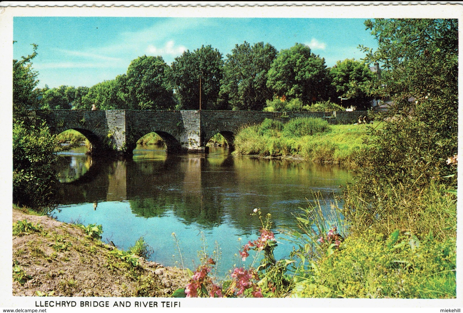 UK-LLECHRYD BRIDGE AND RIVER TEIFI - Cardiganshire