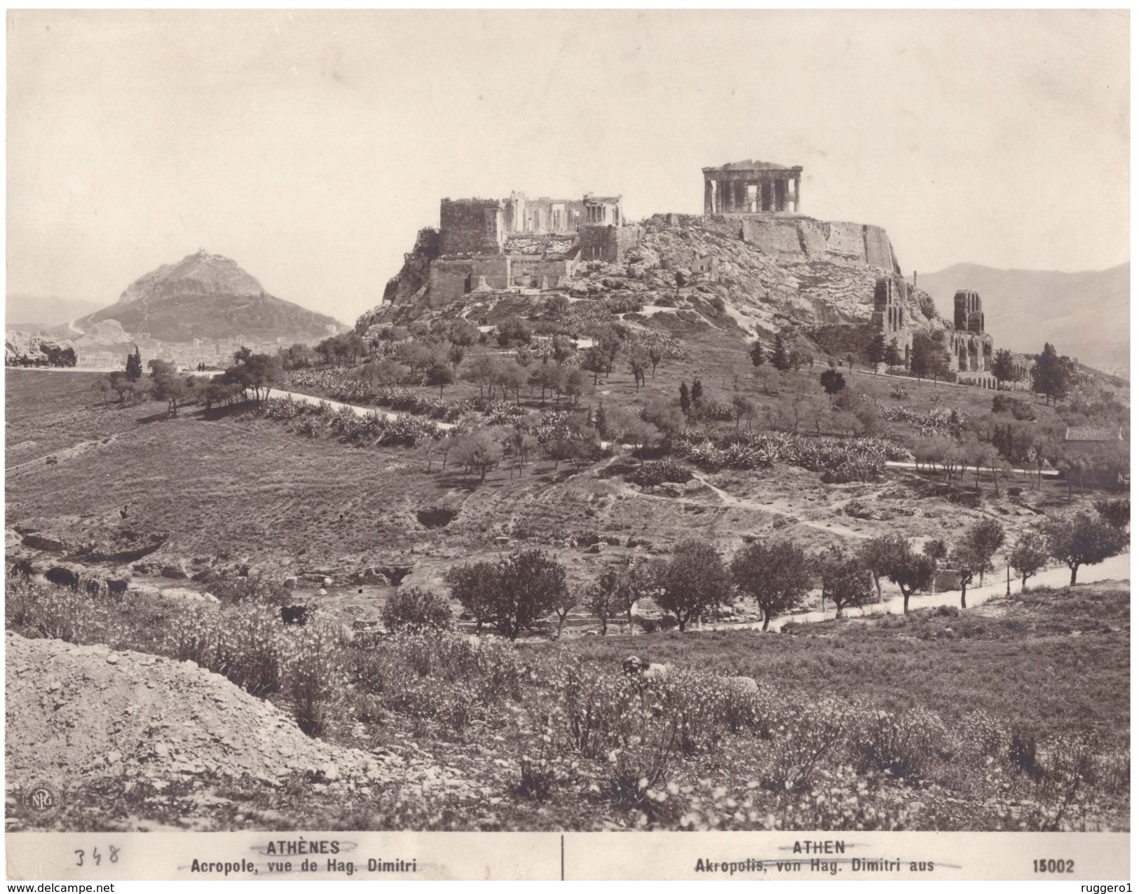 Foto Atene Acropoli Vista Da  Dimitri 15002 - Places