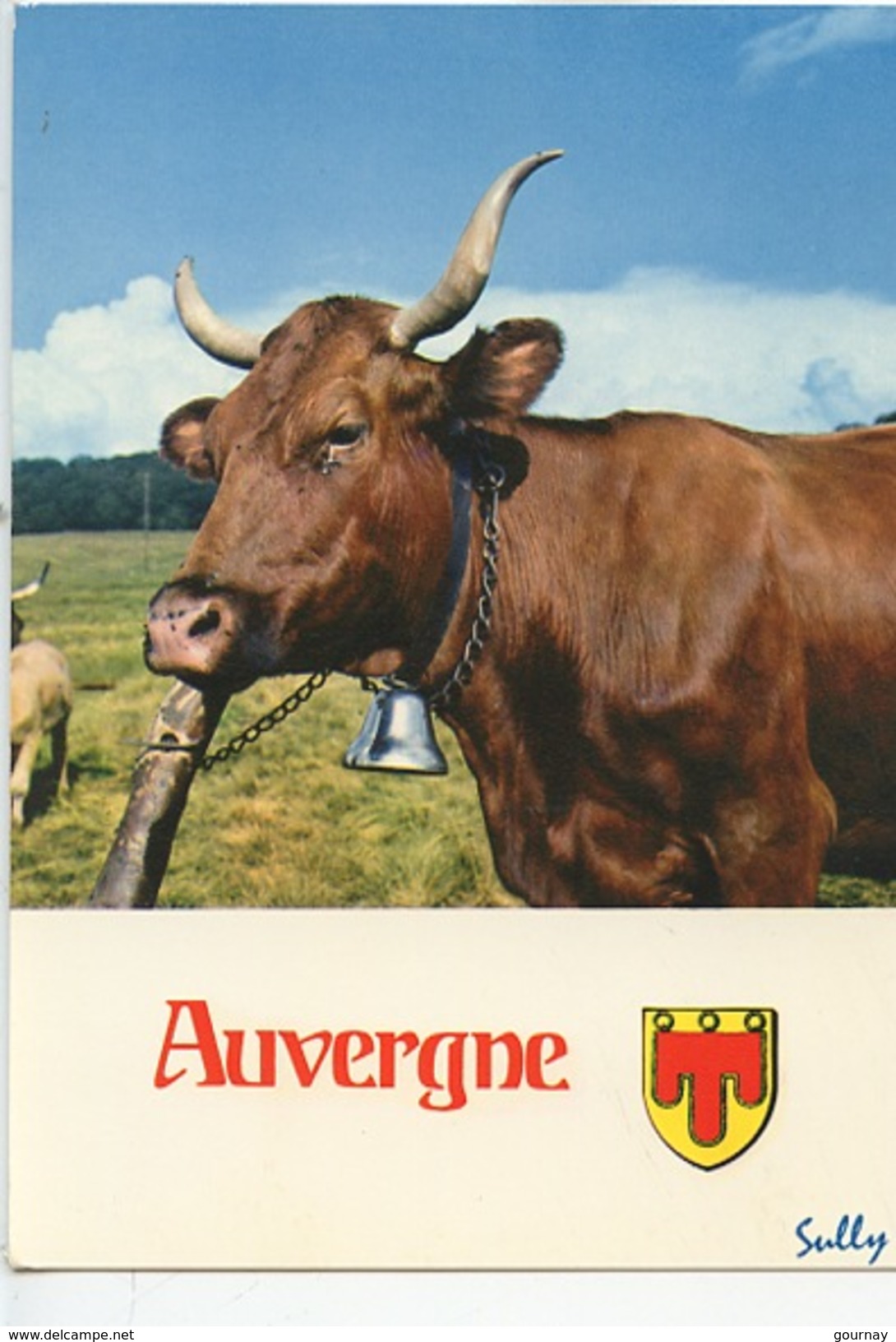 Auvergne : La Race Des Salers (n°0954 Combier) Blason  Sully (vache) - Auvergne