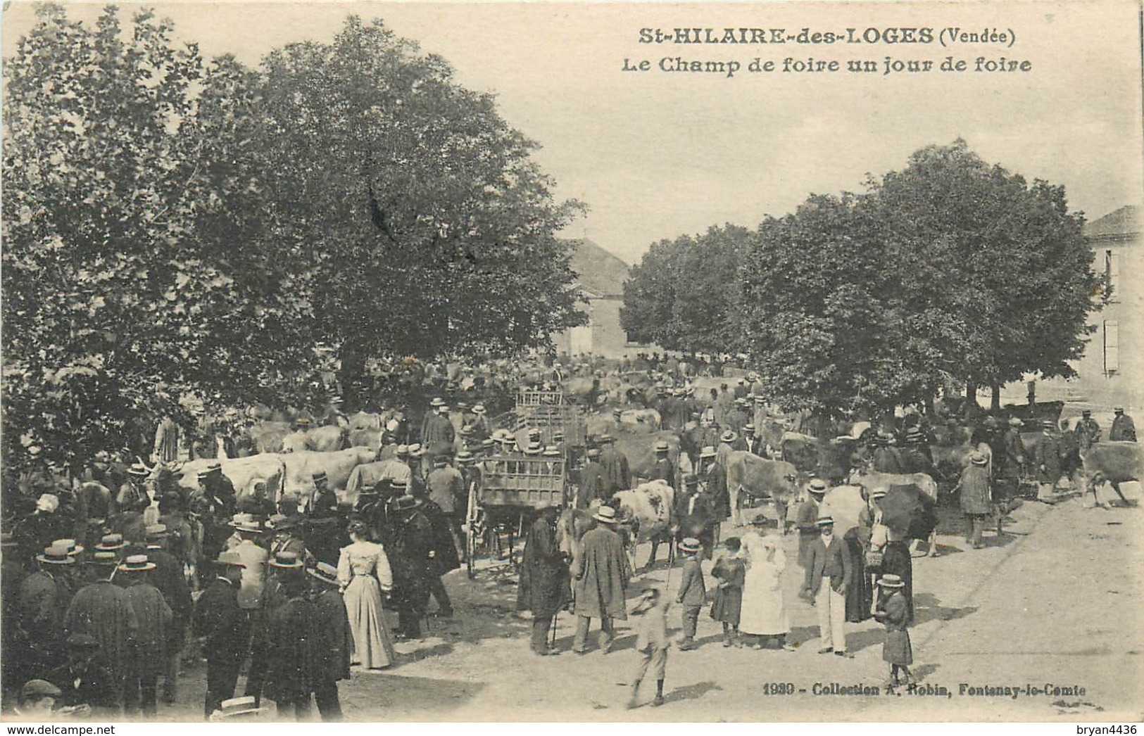 85 - ST HILAIRE DES LOGES - VENDEE - LE CHAMP DE FOIRE UN JOUR DE FOIRE - CPA ANIMEE - VOIR SCANS - Saint Hilaire Des Loges