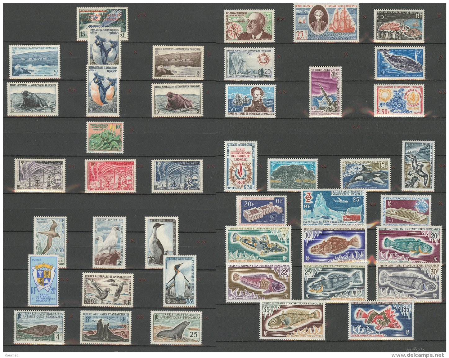 TERRES AUSTRALES. Collection. 1948-1976 (Poste, PA), Compl&egrave;te Sauf N&deg;24, Qqs Ex *. - TB - Other & Unclassified