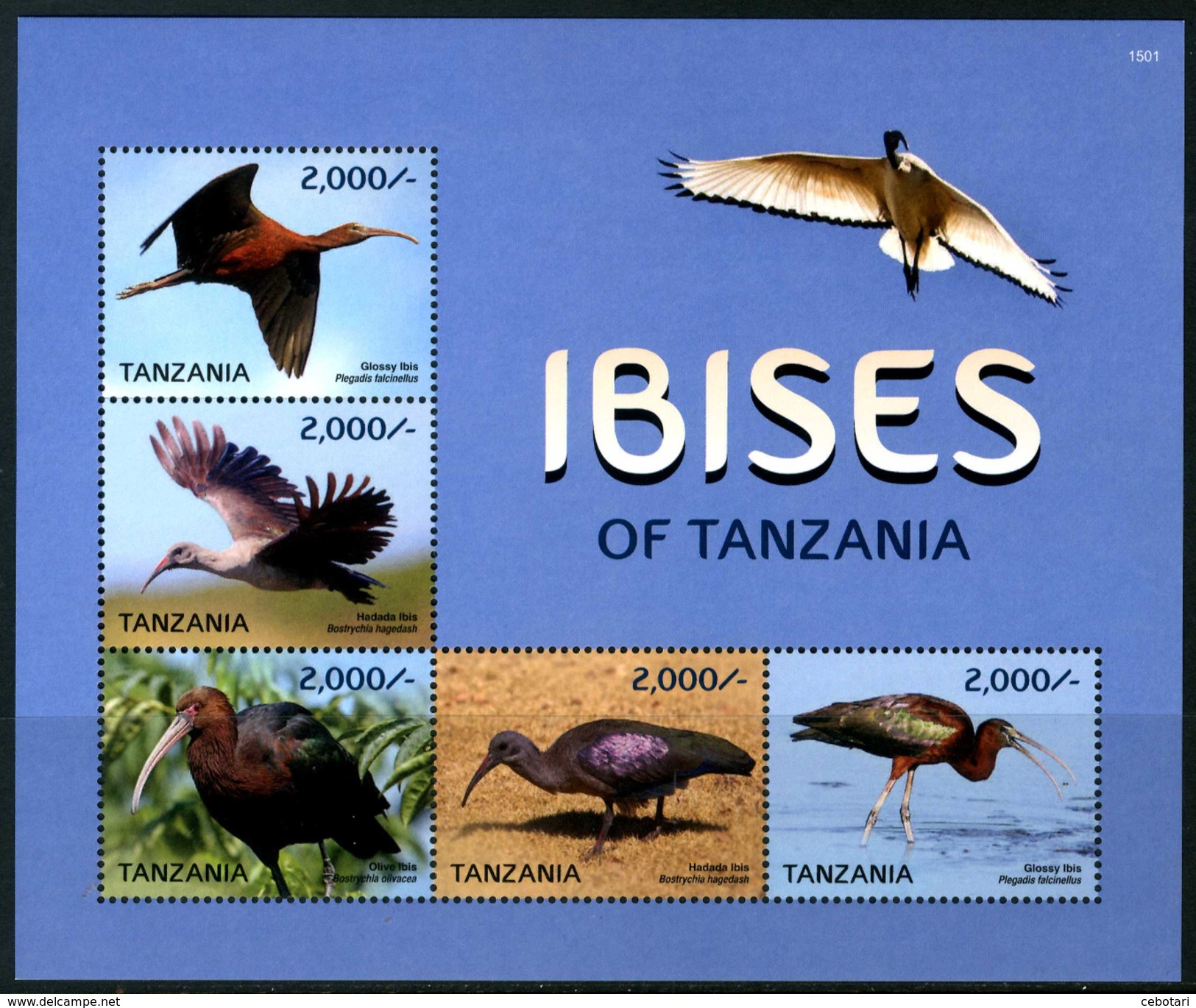 TANZANIA 2015** - Uccelli / Birds - Block Di 5 Val. MNH Come Da Scansione - Altri & Non Classificati