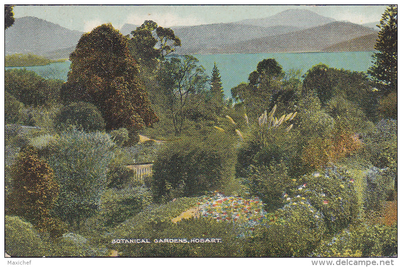 Botanical Gardens - Hobart - Pas Circulé, Colorisée - Hobart