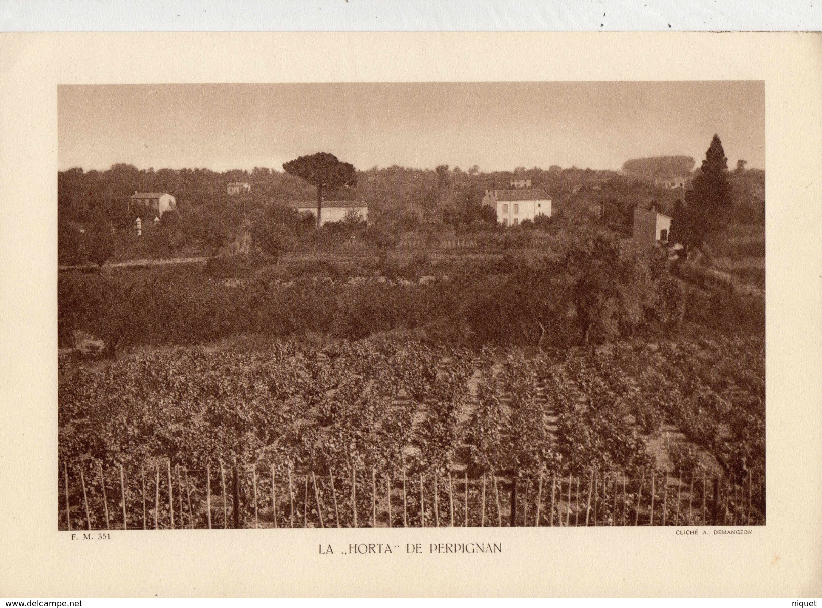 PYRENEES ORIENTALES, LA "HORTA" DE PERPIGNAN, Planche Densité = 200g, Format: 20 X 29 Cm, (A. Demongeon) - Documents Historiques