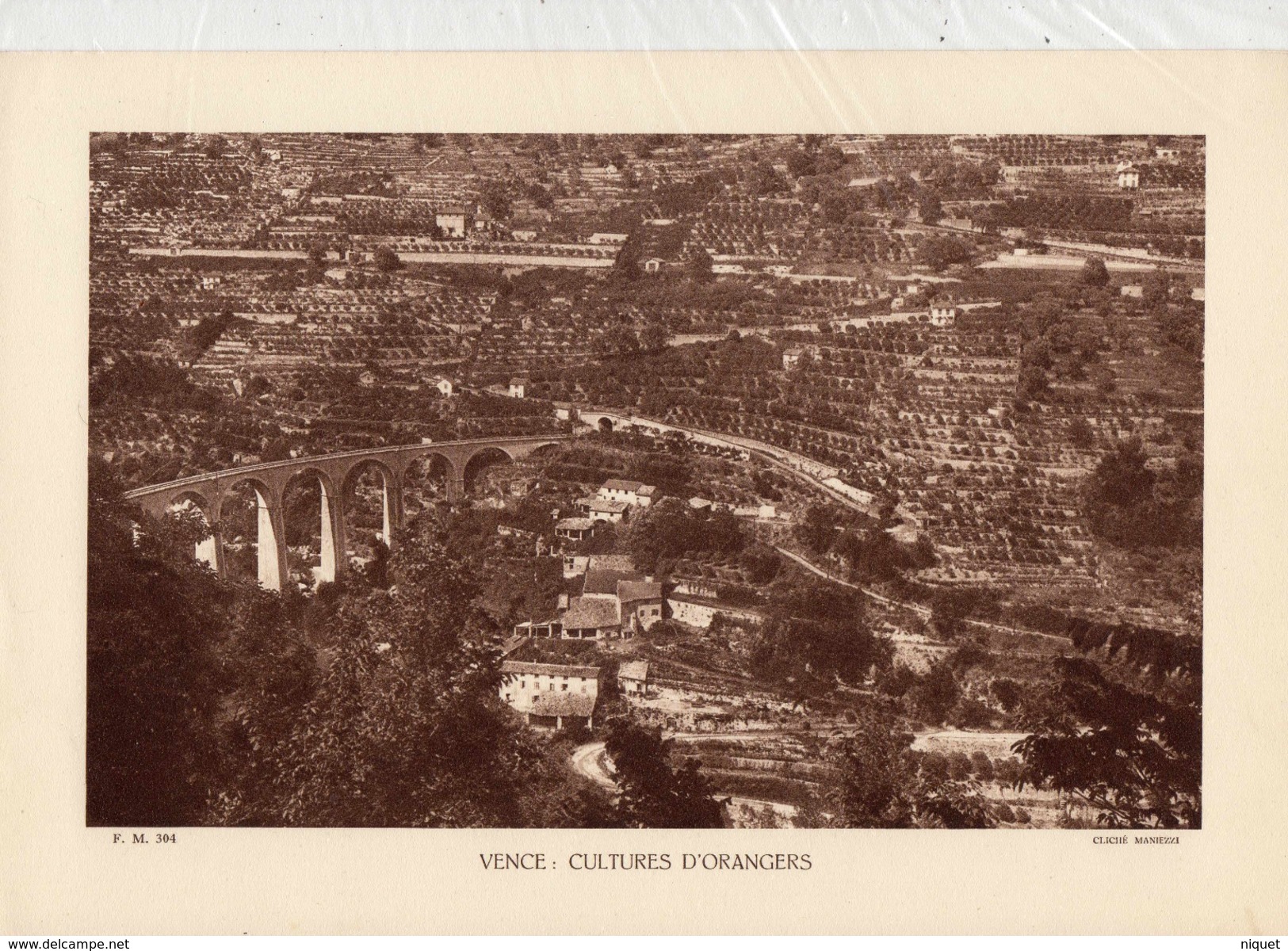 ALPES Mtmes, VENCE: CULTURES D'ORANGERS, Planche Densité = 200g, Format 20 X 29 Cm, (Maniezzi) - Documenti Storici