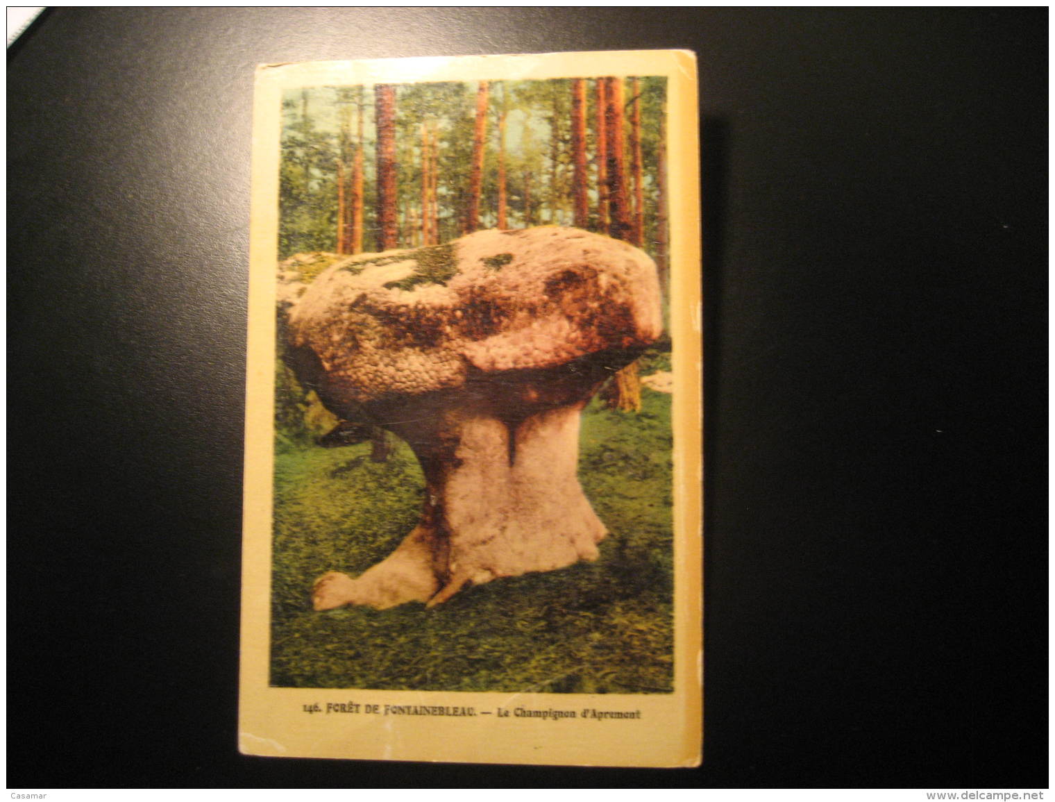 Le CHAMPIGNON D' Apremont Mushroom Mushrooms Champignons Foret De Fontainebleu Post Card France - Mushrooms