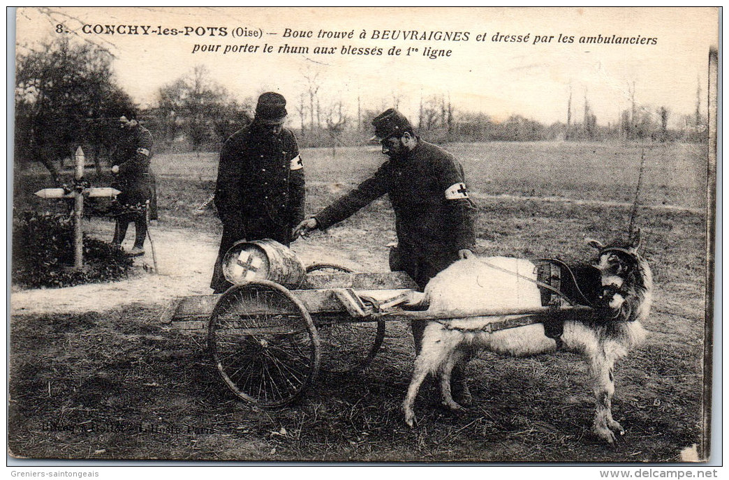 60 CONCHY LES POTS - Attelage De Bouc Dressé Par Les Ambulanciers - Autres & Non Classés