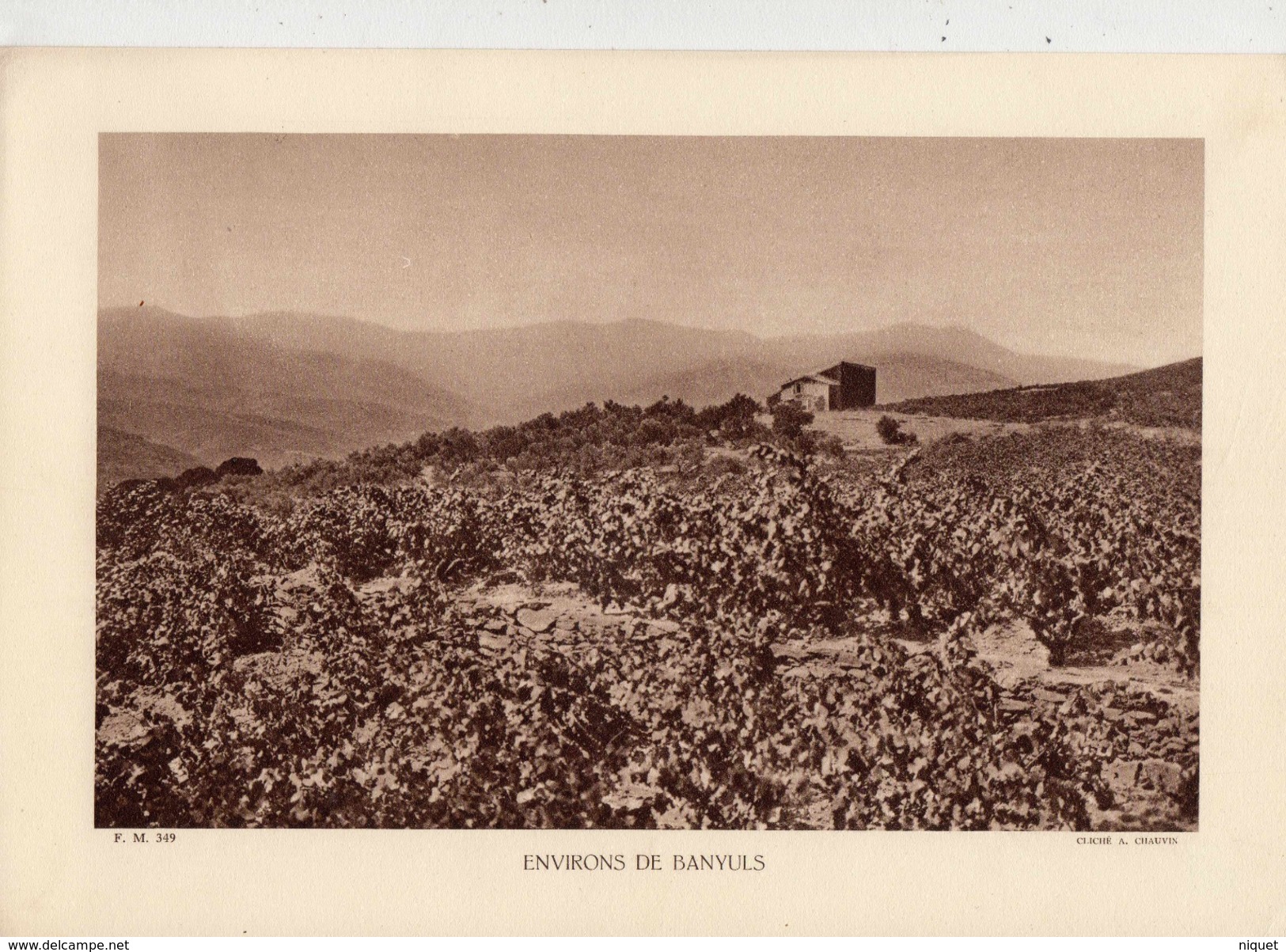 PYRENEES ORIENTALES, Environs De BANYULS, Planche Densité = 200g, Format: 20 X 29 Cm, (A. Chauvin) - Documents Historiques