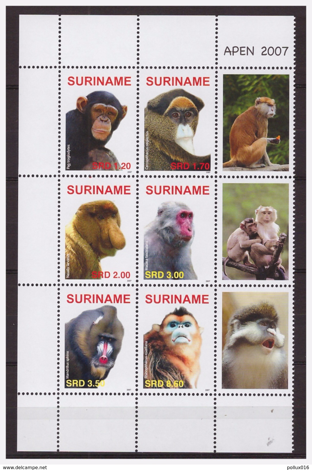 Surinam / Suriname 2007 Aap Apen Monkey Ape Affen Singe MNH Tab - Monkeys