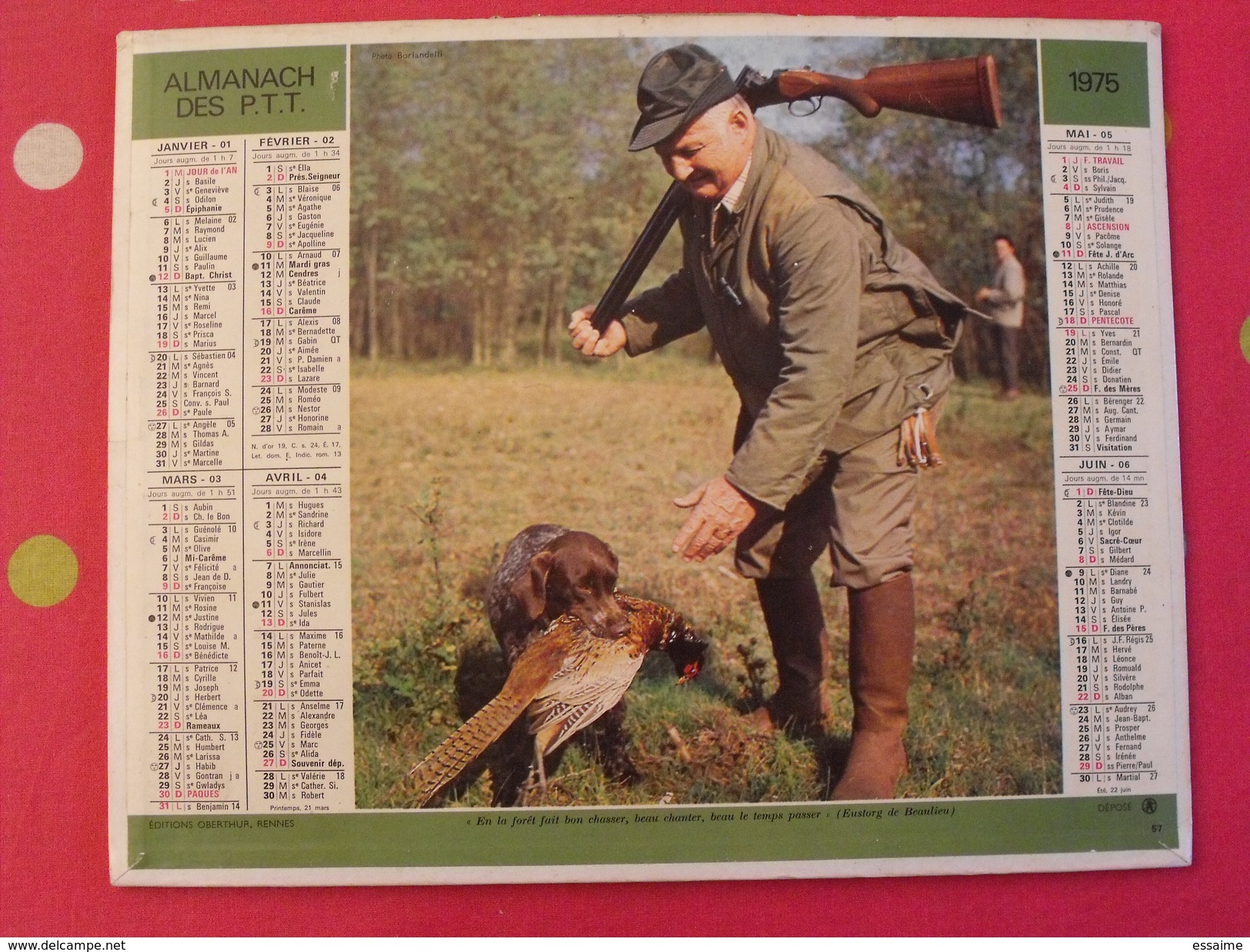 Almanach Des PTT. 1975. Calendrier Poste, Postes Télégraphes. Chasse Affût Chien Faisan - Big : 1971-80