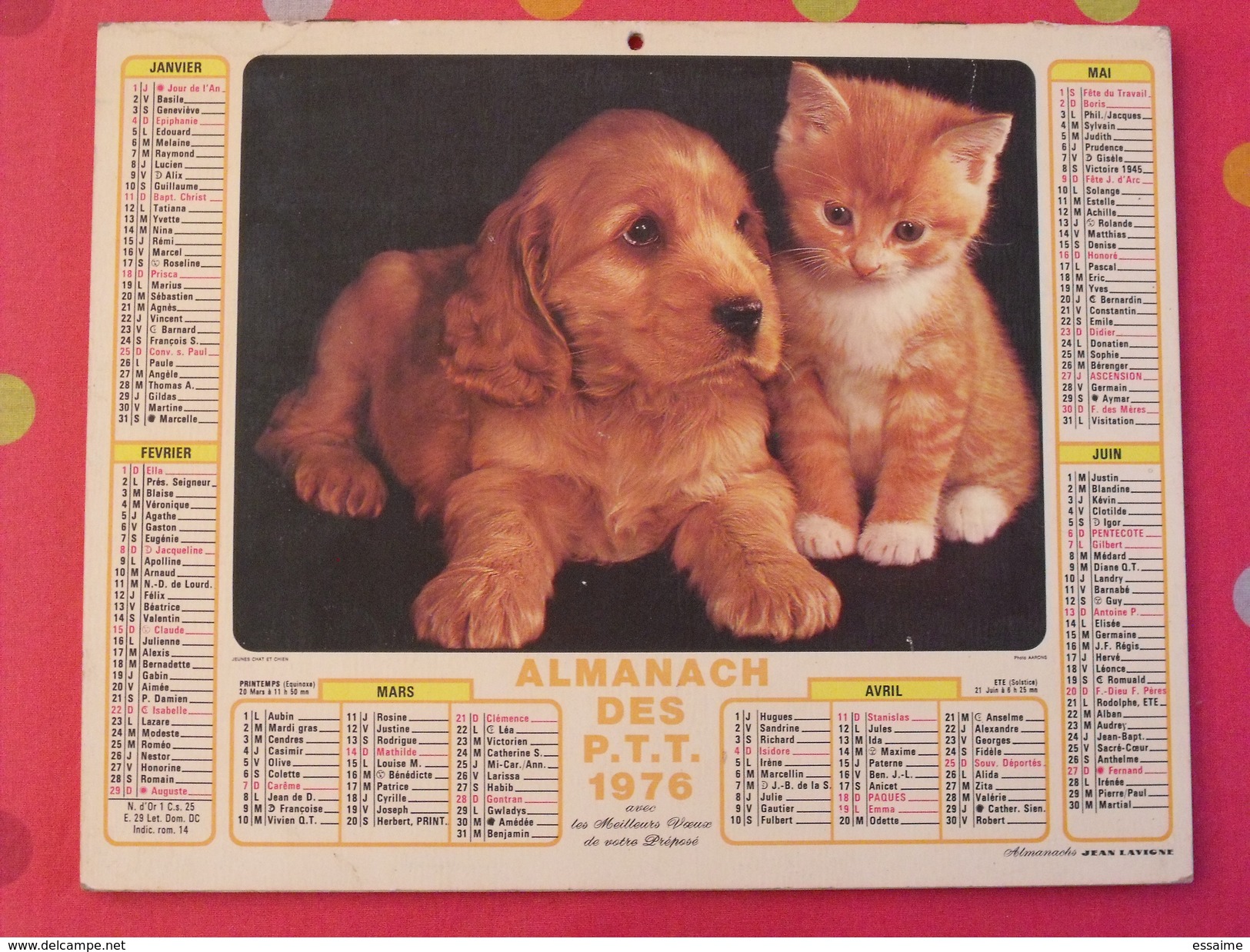 Almanach Des PTT. 1976. Calendrier Poste, Postes Télégraphes. Chien Chat Fillette - Tamaño Grande : 1971-80