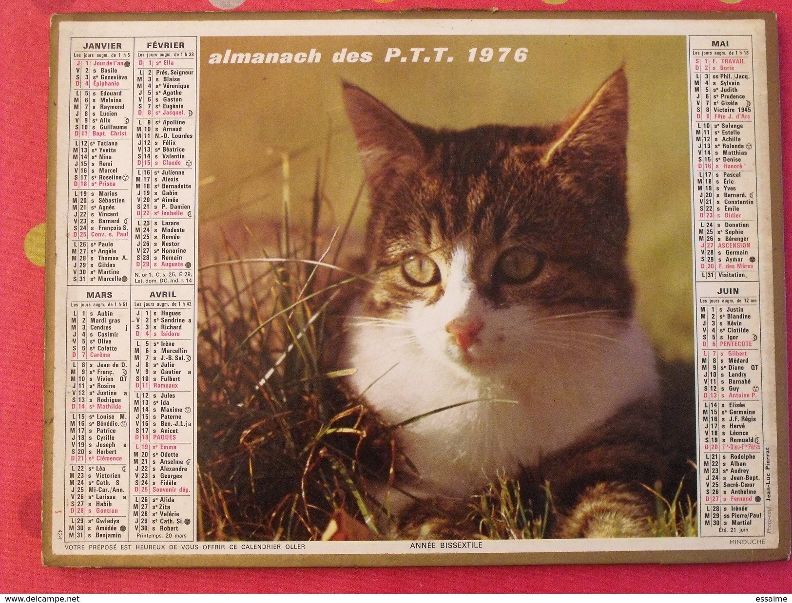 Almanach Des PTT. 1976. Calendrier Poste, Postes Télégraphes. Fleurs Chat Fillette - Tamaño Grande : 1971-80